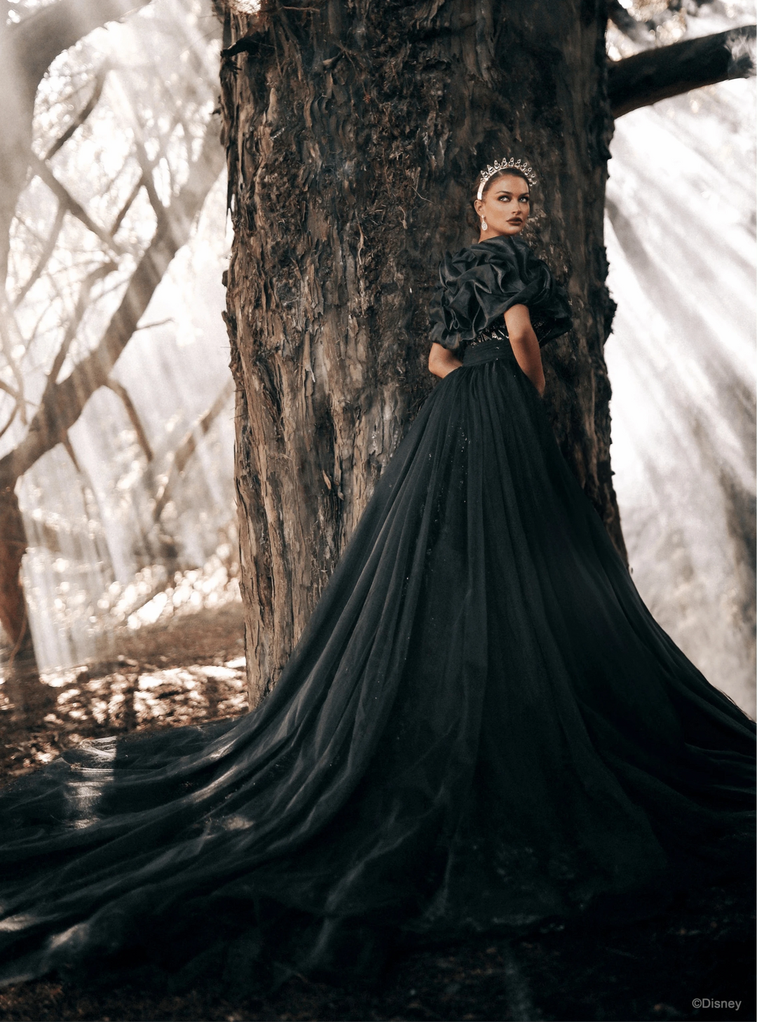 Allure DVL17 + Cape - Size 22