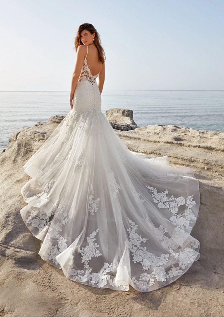 Eddy K. Demi - Size 14