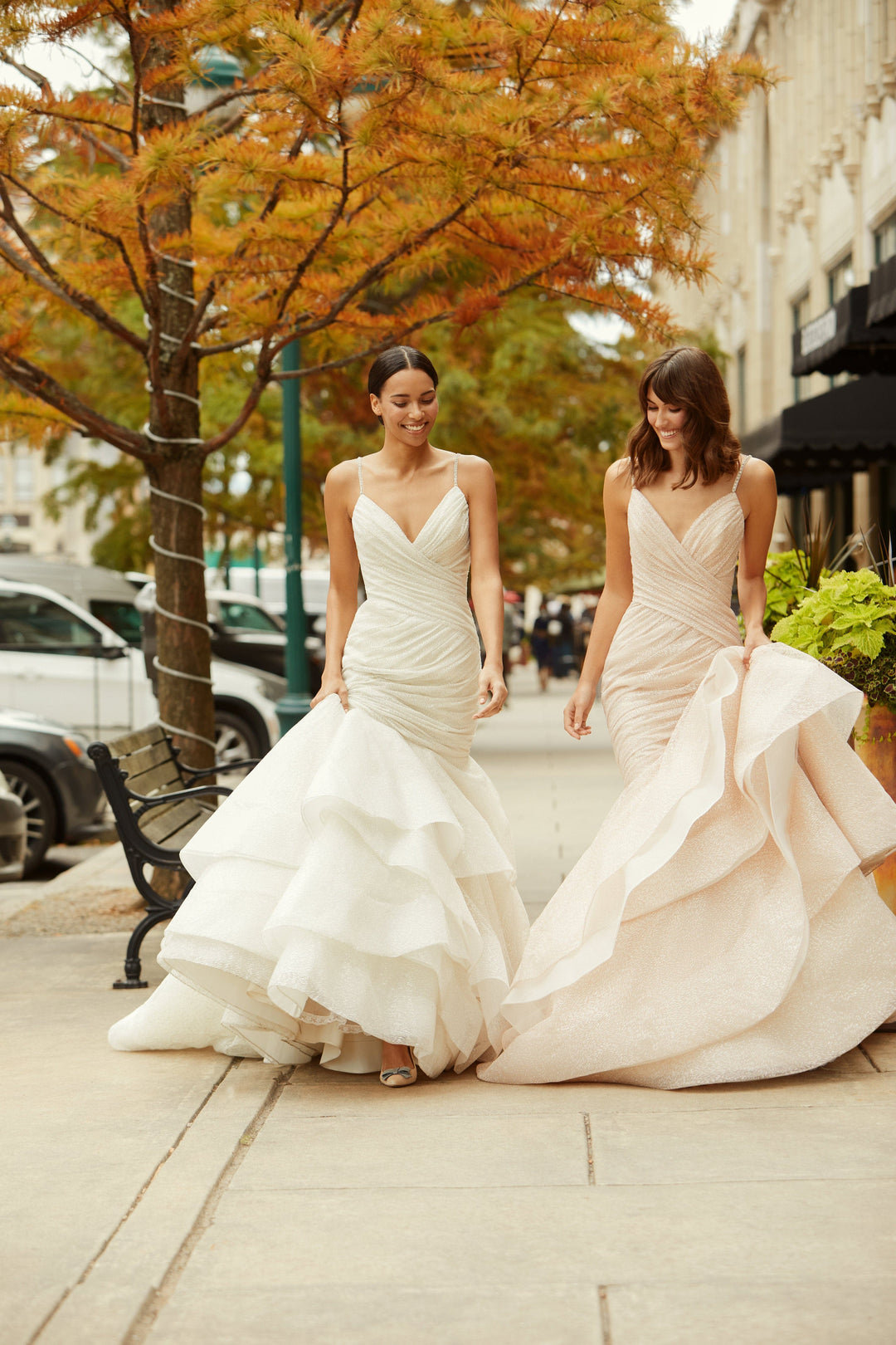 Lazaro Catalina - Size 12