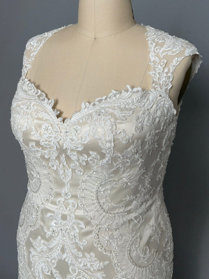 Casablanca 2232 - Size 22