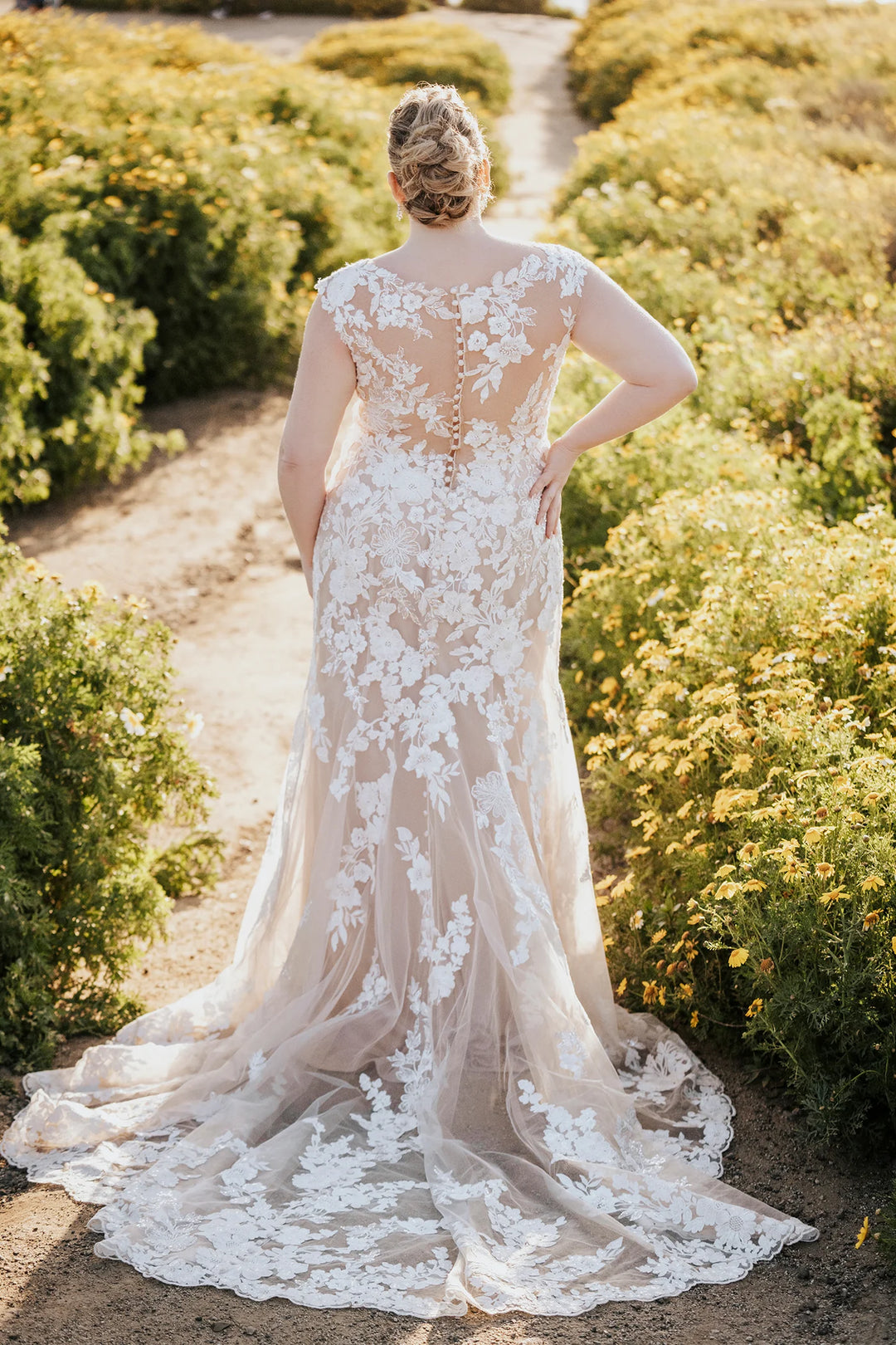 Allure A1161 - Size 16