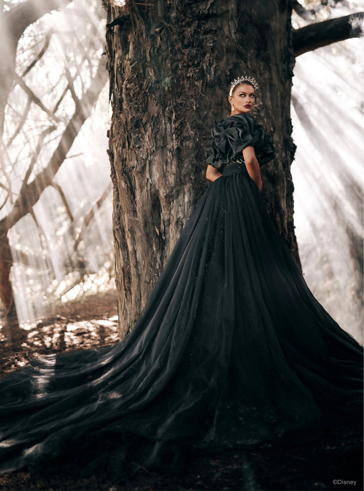 Allure DVL17 + Cape - Size 22