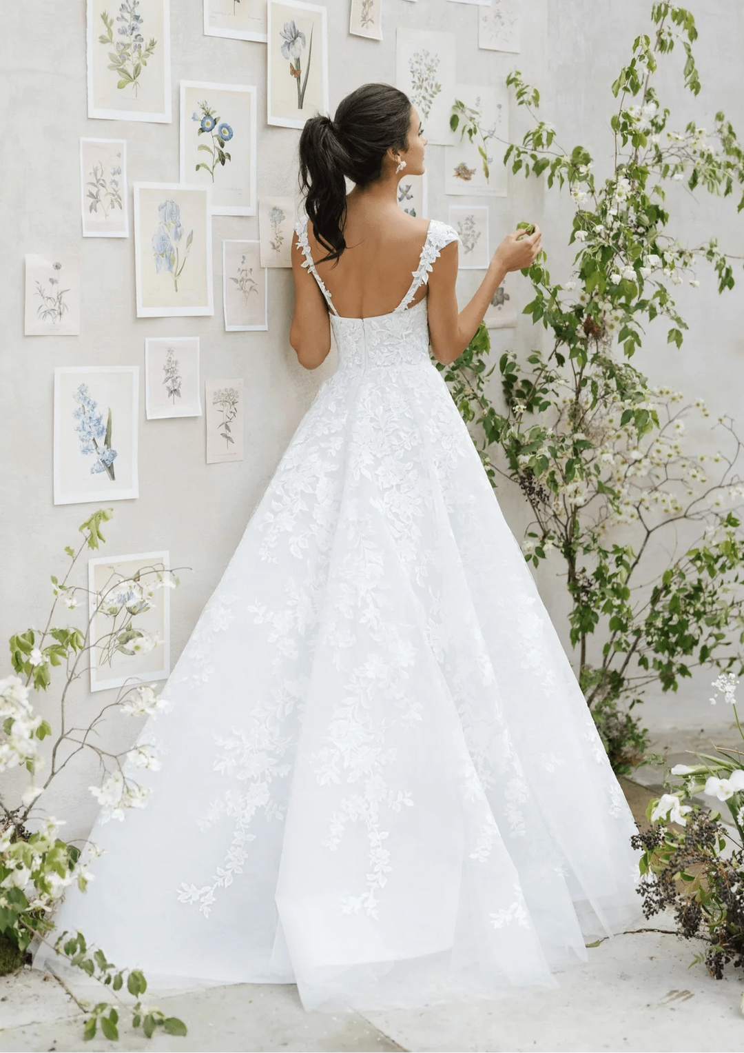 anne barge lace wedding dress Elysia