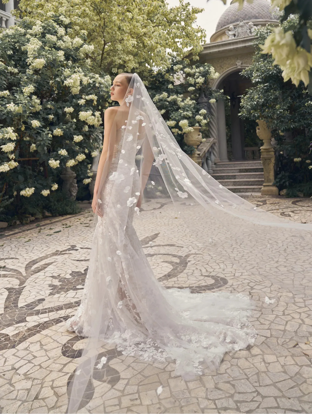 Beccar Dina - Size 6