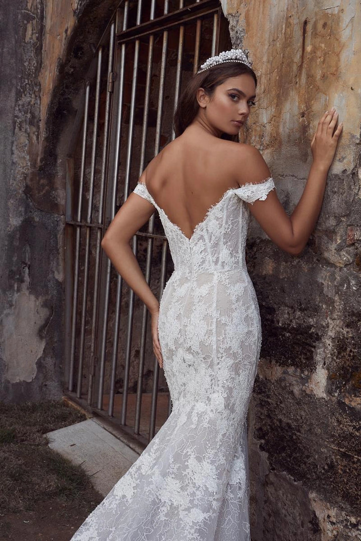 Calla Blanche Amira - Size 18