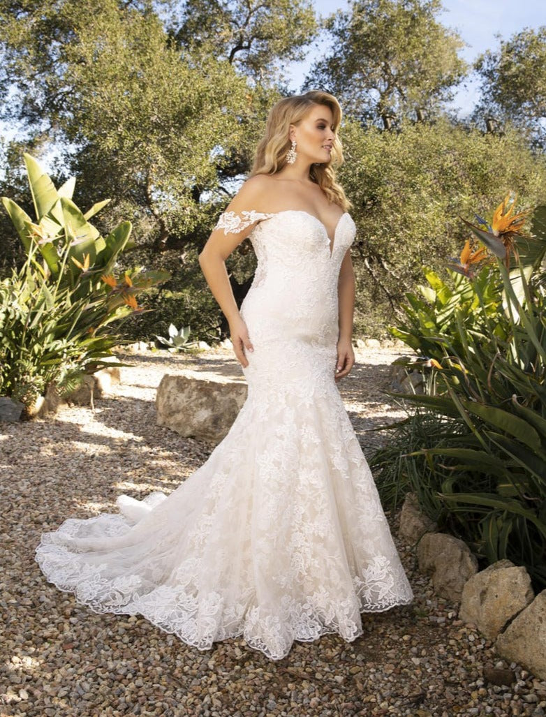 Casablanca 2376 - Size 20