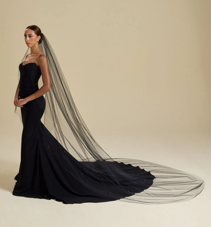 Paris by Debra Moreland Casino Veil