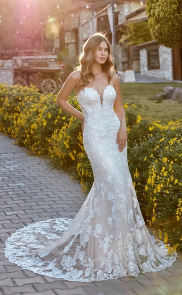 Eddy K. EK1511 - Size 14