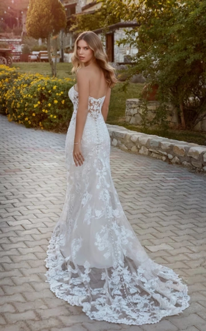 Eddy K. EK1511 - Size 14
