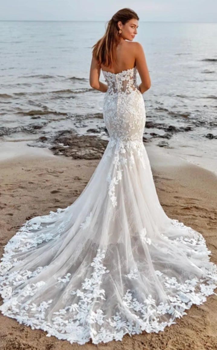 Eddy K. Sia - Size 24