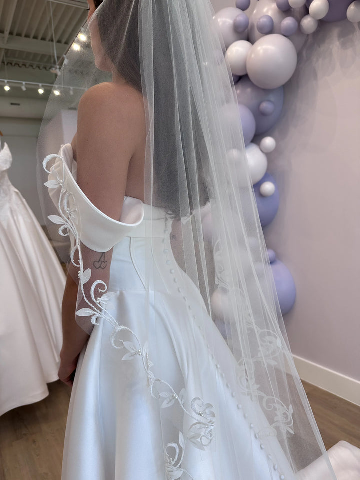 Sasha Veil