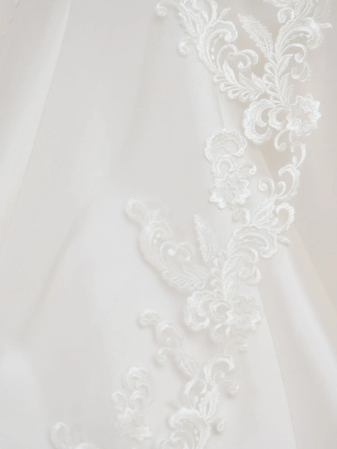 Bassima Veil