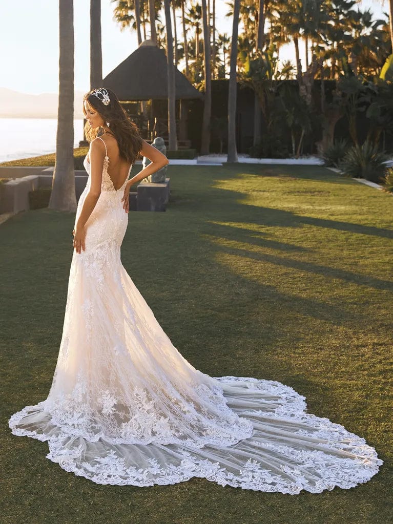 Pronovias Shani - Size 14 Pronovias Shani - Size 14