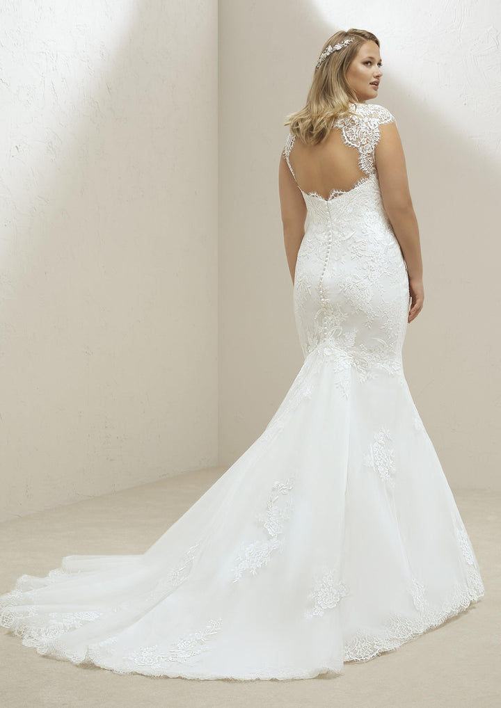 Pronovias Maud - Size 22